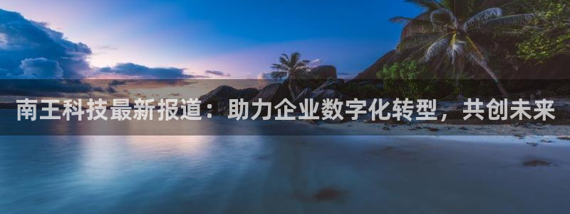 南王科技最新报道：助力企业数字化转型，共创未来